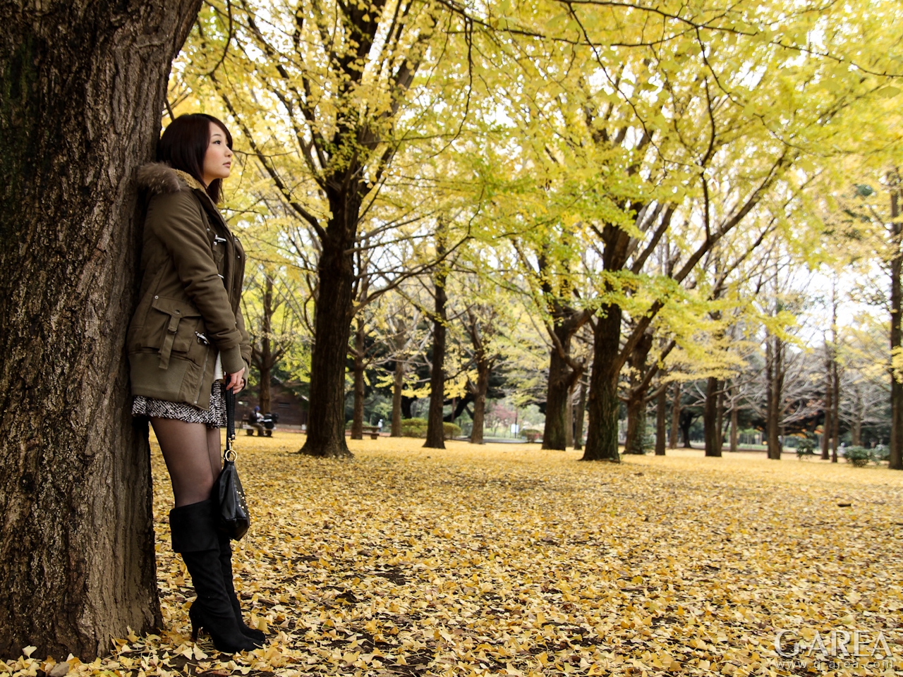 �摜���N���b�N����Ǝ��֐i�݂܂�