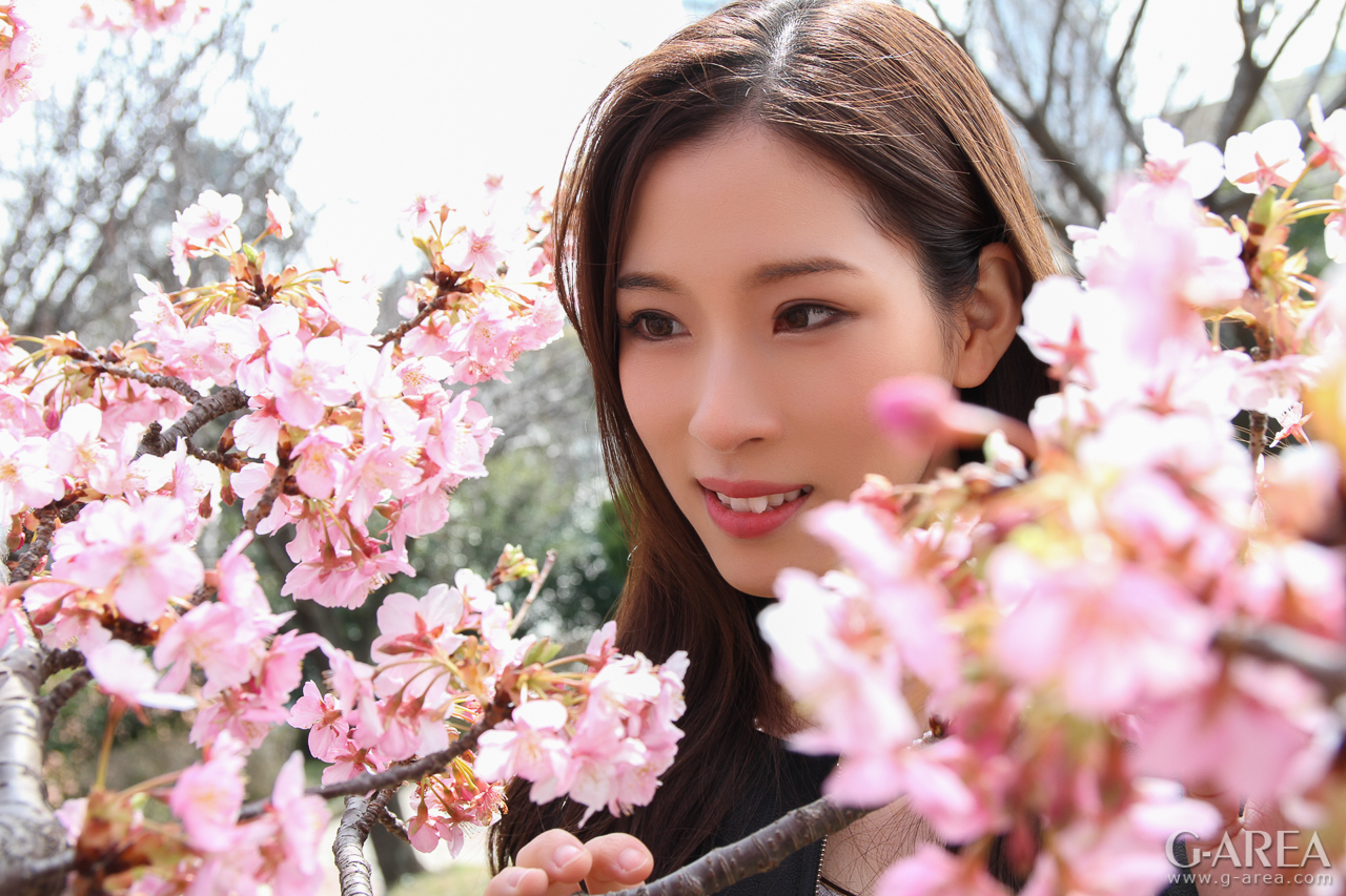 �摜���N���b�N����Ǝ��֐i�݂܂�